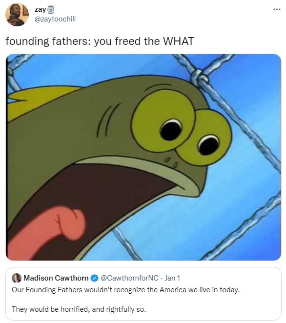 This meme features an image of the character Squidward from the cartoon "SpongeBob SquarePants" with a shocked expression. The text above the image reads "founding fathers: you freed the slaves, but you also enslaved the native americans and stole land from the indigenous peoples." The meme is a humorous commentary on the irony of the founding fathers' actions, using a character known for his grumpy demeanor to express the shock and outrage that many people feel when learning about the dark history of the United States.